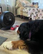 Load image into Gallery viewer, Vornado 133 Small Room Air Circulator Fan, 2 Speeds, Adjustable Head, Table Fan for Desk, Nightstand, Black