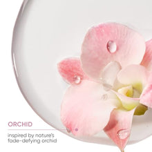 Load image into Gallery viewer, Biolage Color Last Shampoo | Helps Maintain Vibrant Color | For Color-Treated Hair | Paraben & Silicone-Free | Vegan | Cruelty Free | 33.8 Fl. Oz