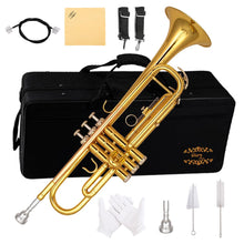 Load image into Gallery viewer, Glory Bb Trumpet - Trumpets for Beginner or Advanced Student with Case, pair of gloves-Gold