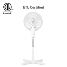 Load image into Gallery viewer, HOLMES 16" Digital Stand Fan, 80° Oscillation, 3 Speeds, 3 Modes, 7.5-Hour Timer, Adjustable Height, 30° Head Tilt, Ideal for Home, Bedroom or Office, Remote Control, White