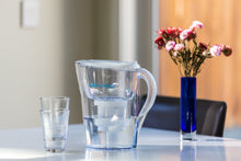 Load image into Gallery viewer, Epic Water Filters REPLACEMENT FILTER/Compatible with Epic Pure Water Pitcher/Removes Fluoride, Lead, Forever Chemicals, Heavy Metals, Chemicals, Industrial Pollutants/Filters 150 Gallons