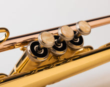 Load image into Gallery viewer, Glory Bb Trumpet - Trumpets for Beginner or Advanced Student with Case, pair of gloves-Gold