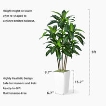 Load image into Gallery viewer, ASTIDY Artificial Dracaena Tree 5FT - Faux Tree with White Tall Planter - Fake Tropical Yucca Floor Plant in Pot - Artificial Silk Tree for Home Office Living Room Decor Indoor