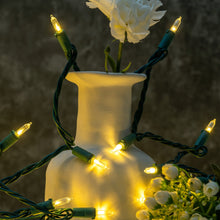 Load image into Gallery viewer, YULETIME 200 Count Warm White LED Christmas Lights, 66 Feet Green Wire UL Certified Commercial Grade Holiday String Light Set (Warm White)