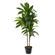 Load image into Gallery viewer, Nearly Natural 48" Dracaena Silk Plant (Real Touch) Green