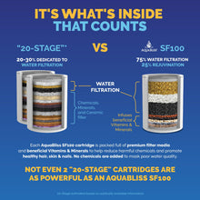 Load image into Gallery viewer, AquaBliss High Output Revitalizing Shower Filter - Reduces Dry Itchy Skin, Dandruff, Eczema, and Dramatically Improves The Condition of Your Skin, Hair and Nails - Chrome (SF100)