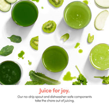 Load image into Gallery viewer, nutribullet Slow Juicer, Slow Masticating Juicer Machine, Easy to Clean, Quiet Motor & Reverse Function, BPA-Free, Cold Press Juicer with Brush, 150 Watts, Charcoal Black, NBJ50300, 24-oz