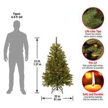 Load image into Gallery viewer, National Tree Company Pre-Lit Artificial Full Christmas Tree, Green, North Valley Spruce, White Lights, Includes Stand, 4.5 Feet
