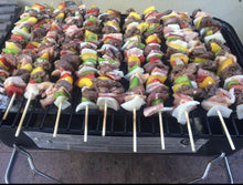 Load image into Gallery viewer, Duke Grills Omaha Go Anywhere Portable Gas Grill - Mini BBQ Propane Grill for Camping, RV, Tailgate - Cooks 8 hamburgers at once - Long Life Steel - Foldable Legs