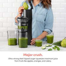 Load image into Gallery viewer, nutribullet Slow Juicer, Slow Masticating Juicer Machine, Easy to Clean, Quiet Motor & Reverse Function, BPA-Free, Cold Press Juicer with Brush, 150 Watts, Charcoal Black, NBJ50300, 24-oz