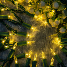 Load image into Gallery viewer, YULETIME 200 Count Warm White LED Christmas Lights, 66 Feet Green Wire UL Certified Commercial Grade Holiday String Light Set (Warm White)