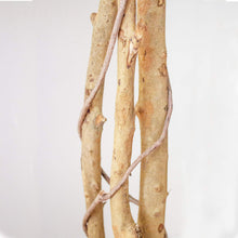 Load image into Gallery viewer, Nearly Natural 5208 Ficus Artificial Tree with Curved Trunk, 5-Feet, Green