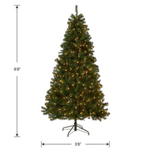 Load image into Gallery viewer, National Tree Company Pre-Lit Artificial Full Christmas Tree, Green, North Valley Spruce, White Lights, Includes Stand, 6.5 Feet