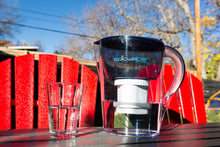 Load image into Gallery viewer, Epic Water Filters REPLACEMENT FILTER/Compatible with Epic Pure Water Pitcher/Removes Fluoride, Lead, Forever Chemicals, Heavy Metals, Chemicals, Industrial Pollutants/Filters 150 Gallons