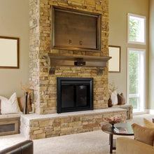 Load image into Gallery viewer, Pleasant Hearth Carlisle Fireplace Glass Door, Small (CL-3000)