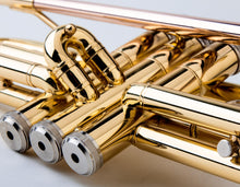 Load image into Gallery viewer, Glory Bb Trumpet - Trumpets for Beginner or Advanced Student with Case, pair of gloves-Gold