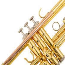 Load image into Gallery viewer, AUROSUS 6331 Bb standard Trumpet - Trumpets for Beginner or Advanced Student w Case Cloth Gloves Brass Musical Instruments For Kids Adults (6331H gold brass)
