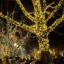 Load image into Gallery viewer, kemooie 500 LED Christmas String Lights, 164FT 8 Lighting Mode with Memory Plug in Green Wire Waterproof Lights, for Outdoor Birthday Christmas Wedding Party Garden Balcony Decorations (Warm White)