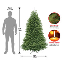 Load image into Gallery viewer, National Tree Company Artificial Full Christmas Tree, Green, Dunhill Fir, Includes Stand, 6.5 Feet