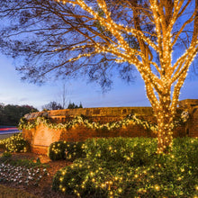 Load image into Gallery viewer, Weillsnow 328 FT 1000 LED Christmas String Lights with Remote & Timer, 8 Lighting Modes Twinkle Lights, Waterproof Fairy Lights For Outdoor Bedroom Backyard Tree Wall Christmas Decoration (Warm White)