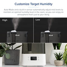 Load image into Gallery viewer, LEVOIT Humidifiers for Bedroom Large Room Home, Smart Wifi Alexa Control, 6L Top Fill Cool Mist for Baby and Plants, Ultrasonic, Essential Oil Diffuser, Customized Humidity, Night Light, Quiet, Gray