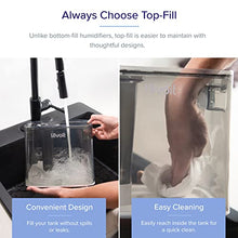 Load image into Gallery viewer, LEVOIT Humidifiers for Bedroom Large Room Home, Smart Wifi Alexa Control, 6L Top Fill Cool Mist for Baby and Plants, Ultrasonic, Essential Oil Diffuser, Customized Humidity, Night Light, Quiet, Gray