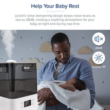 Load image into Gallery viewer, LEVOIT Humidifiers for Bedroom Large Room Home, Smart Wifi Alexa Control, 6L Top Fill Cool Mist for Baby and Plants, Ultrasonic, Essential Oil Diffuser, Customized Humidity, Night Light, Quiet, Gray