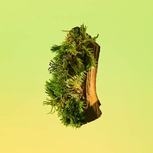 Load image into Gallery viewer, Calvin Klein Eternity for Men Eau de Toilette, 1.6 Fl. Oz.