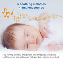 Load image into Gallery viewer, VTech Upgraded Smart WiFi Baby Monitor VM901, 5-inch 720p Display, 1080p Camera, HD NightVision, Fully Remote Pan Tilt Zoom, 2-Way Talk, Free Smart Phone App, Works with iOS, Android