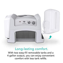 Load image into Gallery viewer, Vornado Evap40 4-Gallon Evaporative Humidifier with Adjustable Humidistat and 3 Speeds