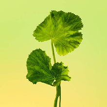 Load image into Gallery viewer, Calvin Klein Eternity for Men Eau de Toilette, 1.6 Fl. Oz.