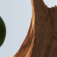 Load image into Gallery viewer, Hugo Boss Bottled Eau de Toilette for Men, 3.3 Fl Oz