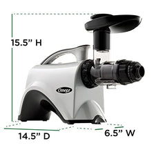 Load image into Gallery viewer, Omega NC800HDS Juicer Juice Extractor and Nutrition System Quiet Motor Slow Masticating Dual-Stage Extraction with Adjustable Settings, 150-Watt, Silver