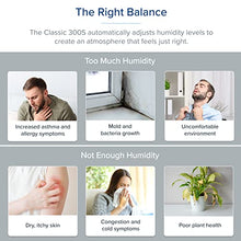 Load image into Gallery viewer, LEVOIT Humidifiers for Bedroom Large Room Home, Smart Wifi Alexa Control, 6L Top Fill Cool Mist for Baby and Plants, Ultrasonic, Essential Oil Diffuser, Customized Humidity, Night Light, Quiet, Gray