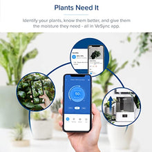 Load image into Gallery viewer, LEVOIT Humidifiers for Bedroom Large Room Home, Smart Wifi Alexa Control, 6L Top Fill Cool Mist for Baby and Plants, Ultrasonic, Essential Oil Diffuser, Customized Humidity, Night Light, Quiet, Gray