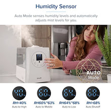 Load image into Gallery viewer, LEVOIT Humidifiers for Bedroom Large Room 6L Warm and Cool Mist for Families Plants with Built-in Humidity Sensor, Essential Oil, Air Vaporizer with Remote Control, Timer Setting, White