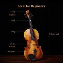Load image into Gallery viewer, Eastar 4/4 Violin Set Full Size Fiddle Solidwood for Adults with Hard Case, Shoulder Rest, Rosin, Two Bows, Clip-on Tuner and Extra Strings, EVA-330
