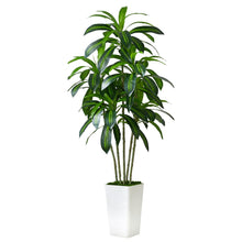 Load image into Gallery viewer, Artificial Dracaena Tree Artificial Silk Tree Faux Tree with White Tall Planter Fake Tropical Yucca Floor Plant (1, White Tall Planter, 5 FT)
