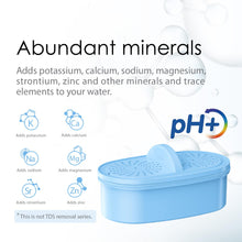 Load image into Gallery viewer, Waterdrop WD-PF-AL Replacement Alkaline Filters for All Waterdrop Pitcher and Dispenser Filtration System, Improved Coffee Taste, Last Up to 100 Gallons (Pack of 3)
