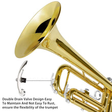 Load image into Gallery viewer, EASTROCK Bb Trumpet Standard Trumpet Set with Carrying Case,Gloves, 7C Mouthpiece and Cleaning Kit (Gold)
