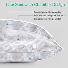 Load image into Gallery viewer, Three Geese Pack of 2 White Goose Feather Bed Pillows King Size- Soft 600 Thread Count 100% Cotton, Medium Firm,Soft Support Surround Fill Polyester,White Solid
