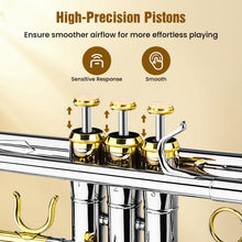 Load image into Gallery viewer, Asmuse Trumpet Instrument Set for Beginner, Bb Standard Student Trumpet with Hard Case, Brass Instruments with Trumpets Cleaning Kit Gloves 7C Mouthpiece
