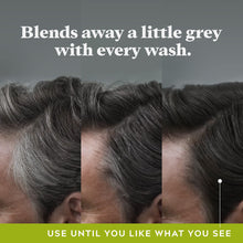 Load image into Gallery viewer, Just For Men Mustache &amp; Beard, Beard Dye for Men with Brush &amp; Control GX Grey Reducing Shampoo, Gradual Hair Color for Stronger and Healthier Hair, 4 Fl Oz - Pack of 3 (Packaging May Vary)
