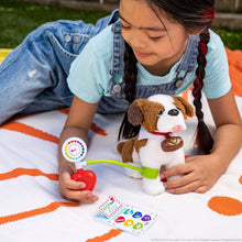 Load image into Gallery viewer, The Elf on the Shelf Elf Pets St Bernard Plush Dog, Official Adoption Certificate, Story Book, and Cheer Checkup Play Vet Set (Multi-Item Gift Set)
