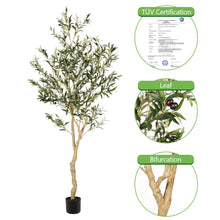 Load image into Gallery viewer, Realead 6ft Faux Olive Tree, Tall Olive Tree Plants, Fake Potted Olive Silk Tree, Artificial Olive Trees for Modern Home Office Living Room Floor Decor Indoor
