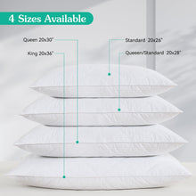 Load image into Gallery viewer, Three Geese Pack of 2 White Goose Feather Bed Pillows King Size- Soft 600 Thread Count 100% Cotton, Medium Firm,Soft Support Surround Fill Polyester,White Solid
