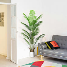 Load image into Gallery viewer, Artificial Palm Tree Indoor 5ft with with Realistic Leaves and Adjustable Branches and 12 Trunks, Faux Plants Indoor Tall - Ideal for Home Decor in Living Rooms, Offices, and Bedrooms
