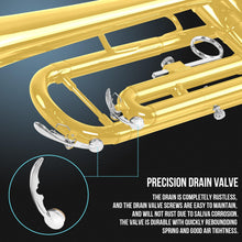 Load image into Gallery viewer, Soulmate Bb Standard Trumpet Set for Beginner Brass Student Trumpet Instrument with Carrying Hard Case, Cleaning Kit, 7C Mouthpiece and Gloves (Gold)
