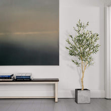 Load image into Gallery viewer, Realead 6ft Faux Olive Tree, Tall Olive Tree Plants, Fake Potted Olive Silk Tree, Artificial Olive Trees for Modern Home Office Living Room Floor Decor Indoor
