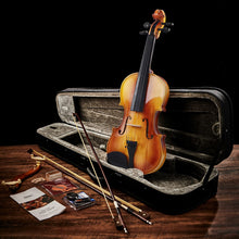 Load image into Gallery viewer, Eastar 4/4 Violin Set Full Size Fiddle Solidwood for Adults with Hard Case, Shoulder Rest, Rosin, Two Bows, Clip-on Tuner and Extra Strings, EVA-330
